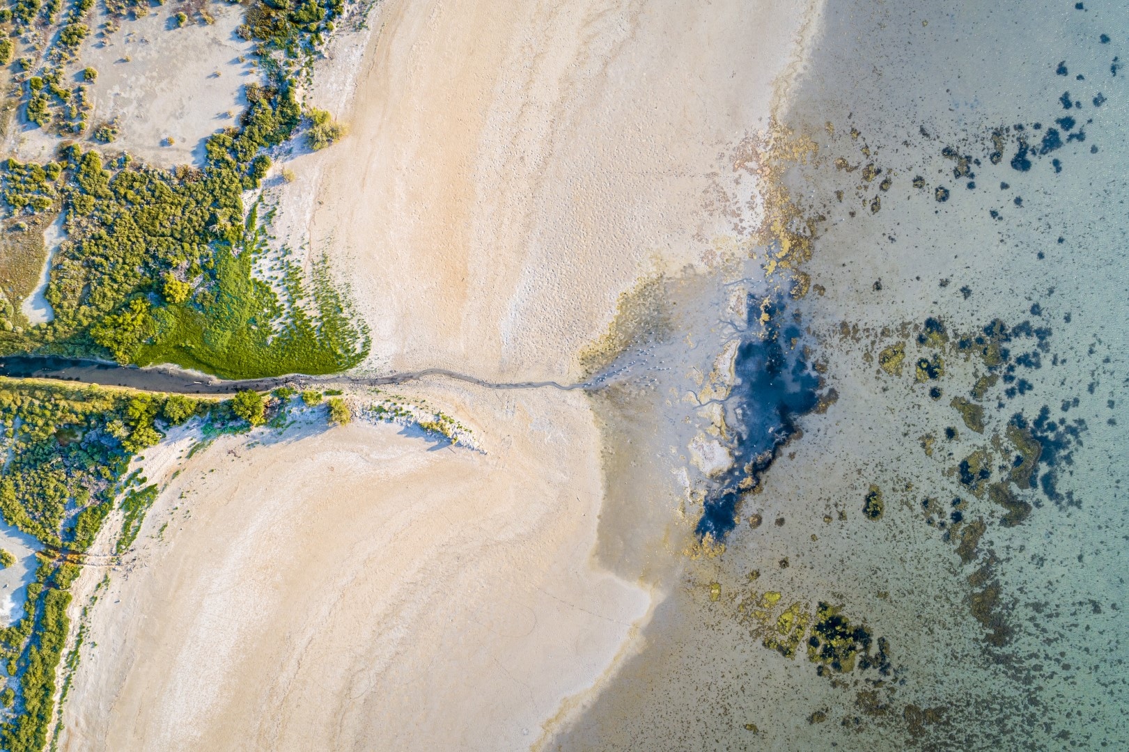 Drone en vol pour la photographie aérienne