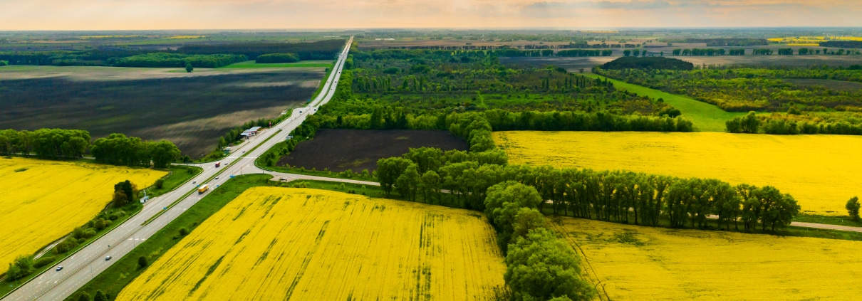vue aérienne de parcelles cultivées