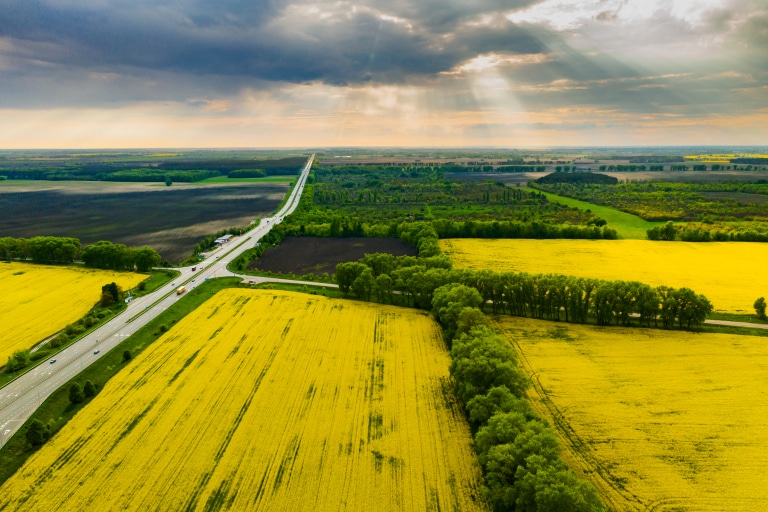 vue aérienne de parcelles cultivées