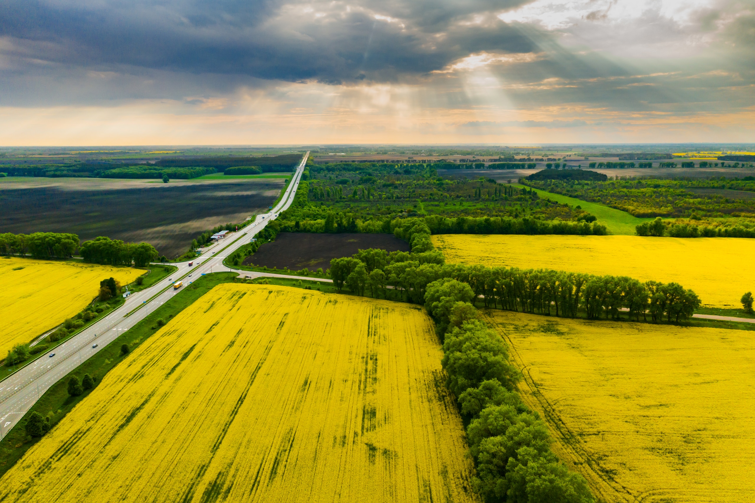vue aérienne de parcelles cultivées
