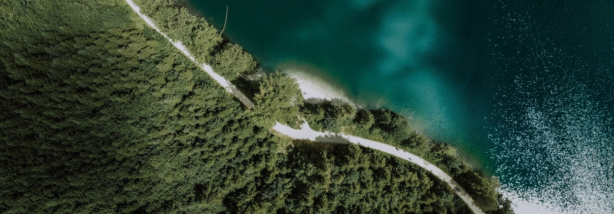 vue aérienne foret et mer