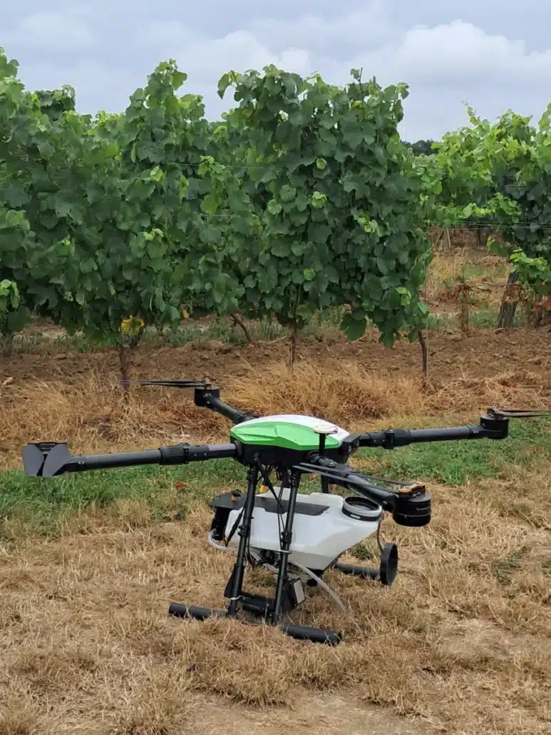 Drone de pulvérisation utilisé dans un vignoble